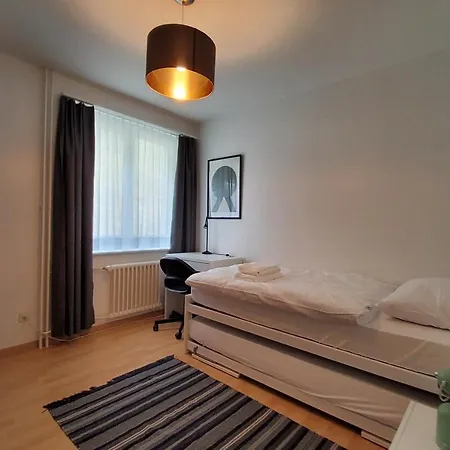 Via Surpunt - Casa - 5 Apartment St. Moritz