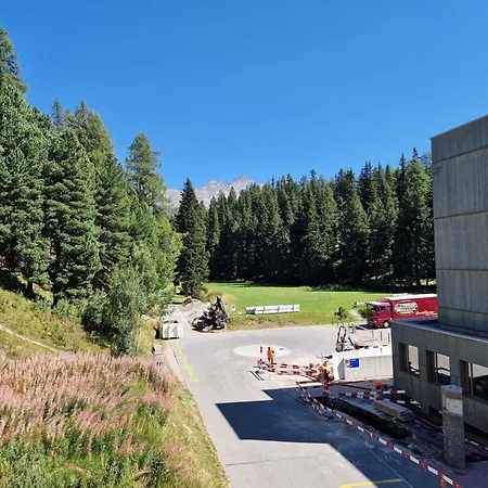 Apartman Corvatch-sunflower