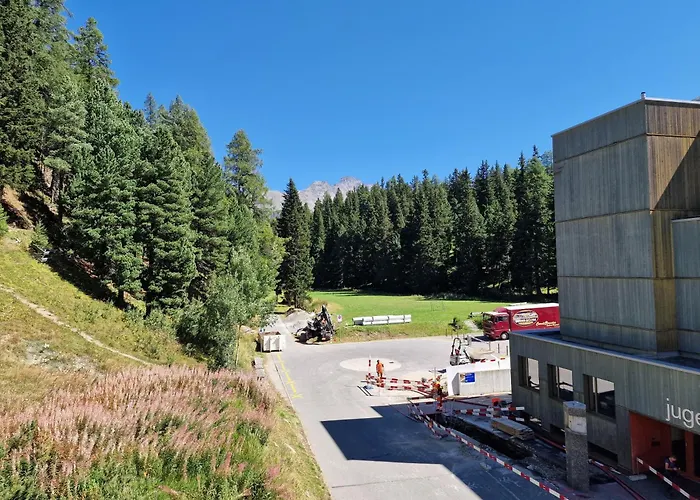 Apartman Corvatch-sunflower